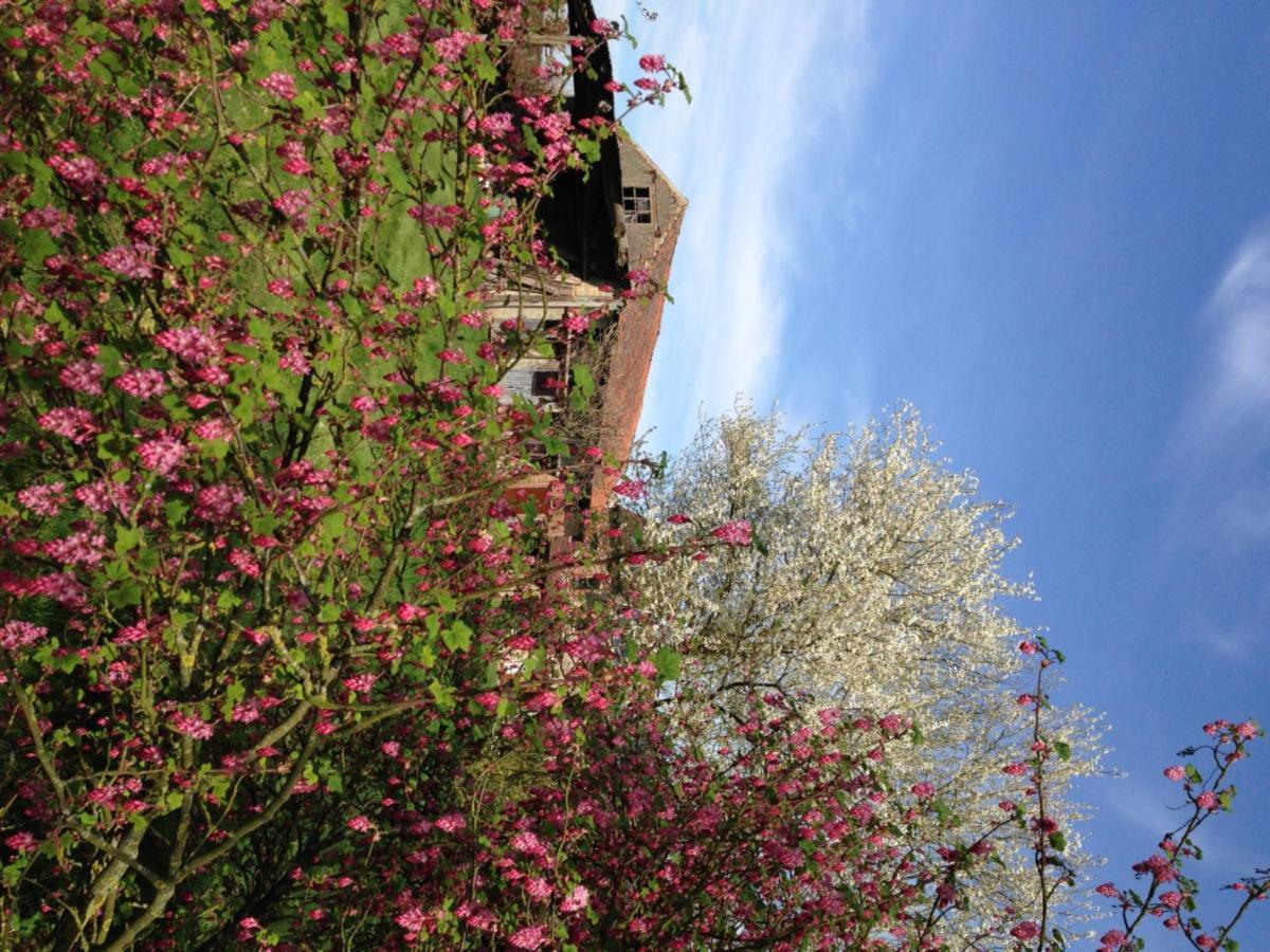 B&B Bekersveld Vlezenbeek Dış mekan fotoğraf