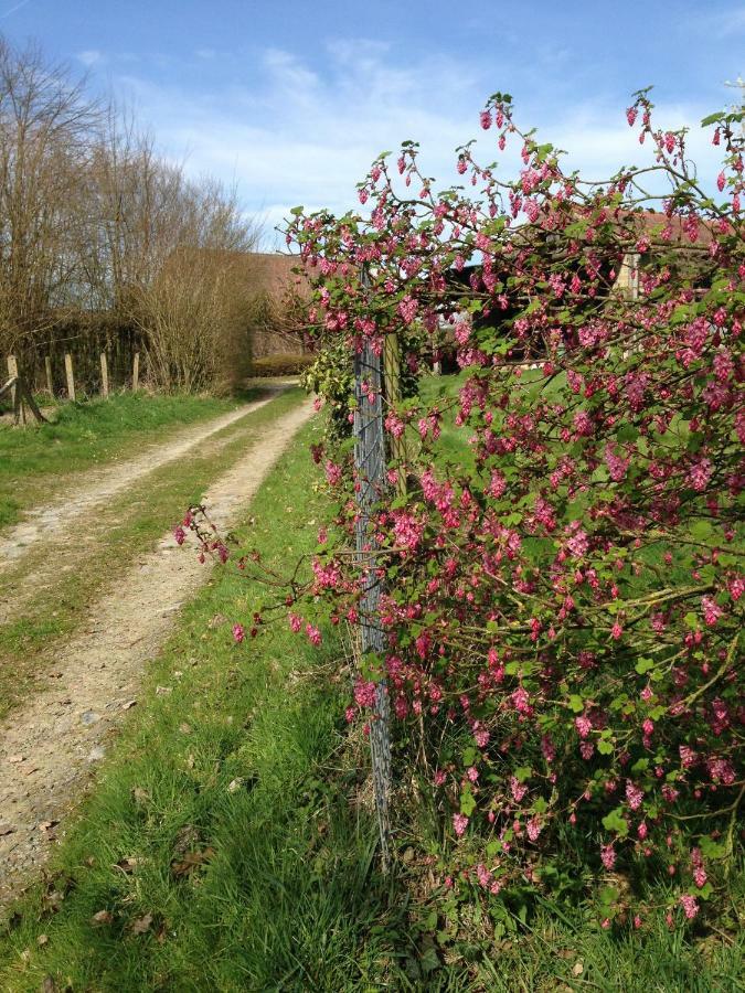 B&B Bekersveld Vlezenbeek Dış mekan fotoğraf